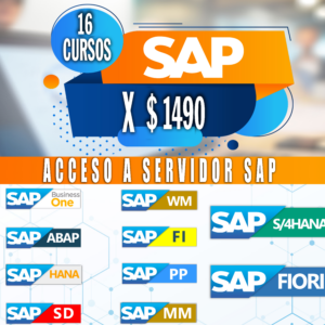 CategorÃa SAP